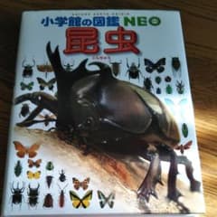 昆虫　図鑑のサムネイル