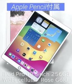 iPad Pro 10.5 Cellular ApplePencil付きのサムネイル