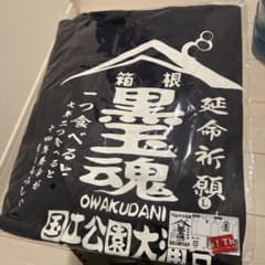 Owakudani 新品未開封　大涌谷オリジナルTシャツ Lサイズのサムネイル