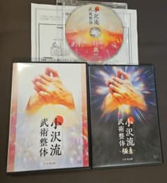 小沢流 武術整体 極意 DVD 5枚セット 特典ディスク付き - メルカリ