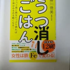 うつ消しごはん タンパク質と鉄をたっぷり摂れば心と体はみるみる軽くなる!のサムネイル