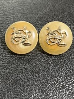 レア　美品　エルメス イヤリング バッファローホーン　ホルン ヴィンテージ