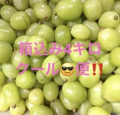 うにちゃんhelp！！割れ　傷　お願いします - 2