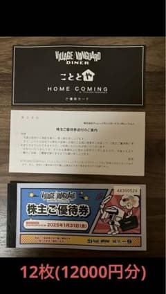 ヴィレッジヴァンガード 株主優待券 12枚 12000円分 ヴィレヴァンのサムネイル