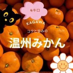 【香川県産】みかん　4キロ　温州みかん　年越しみかん 　送料込みのサムネイル