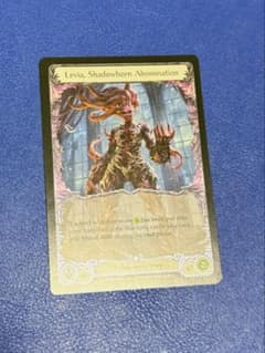 Flesh and Blood Levia CFのサムネイル