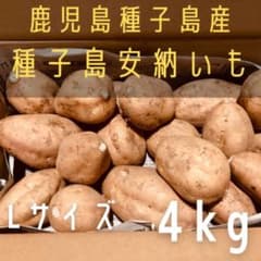 種子島から農家直送！ G1登録種子島産安納いも(こがね)  4kg Lサイズのサムネイル