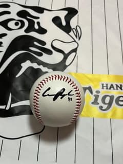 阪神タイガース ラグズデール 直筆サインボール