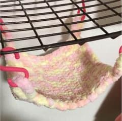 momo様専用 ハンモックのサムネイル