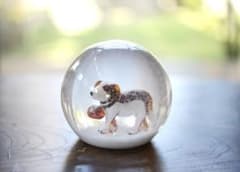Glas & Licht ガラス スノードーム セントバーナード 雪 犬 スイス