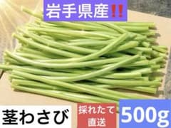 大人気‼️茎わさび　500g (ネコポス)のサムネイル