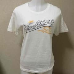 ピコ Tシャツのサムネイル