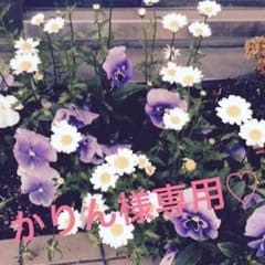 かりん様専用♪のサムネイル
