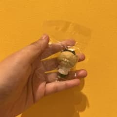 Tiny Zoo タイニーズー Lucy(ネコ)のサムネイル