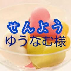 ゆうなむ様♪専用出品のサムネイル