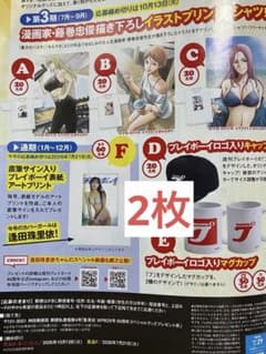 週刊プレイボーイ29号 サイン入りアートプリント等 プレゼント応募券