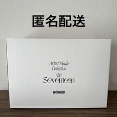 SEVENTEEN アーティストメイド ウォヌ カメラバッグ seventeen アーティストメイド ウォヌ カメラバッグ - メルカリ