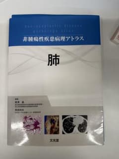 【裁断済み】非腫瘍性疾患病理アトラス 肺 文光堂【書き込みなし】 裁断済み】非腫瘍性疾患病理アトラス 肺 文光堂【書き込みなし