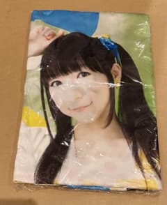 堀江由衣 ほっちゃん 抱き枕カバー Summer 黒ネコ集会 - メルカリ