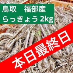 鳥取県　福部産らっきょう　砂丘　ふくべ　2kgのサムネイル