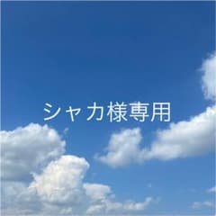 シャカ様専用のサムネイル