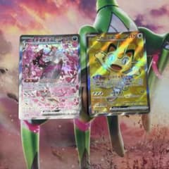 キチキギスex SAR ニャースex値下げ交渉⭕️ - メルカリ