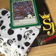 柴田淳グッズのサムネイル