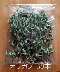 ドライ オレガノ 50本 dry oreganoのサムネイル