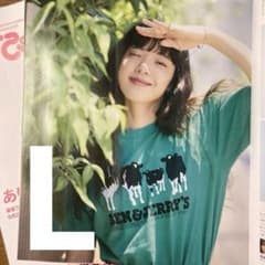 90s】あいみょん BEN & JERRY'S Tシャツ ヴィンテージ - メルカリ