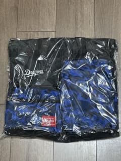 中日ドラゴンズ　ファンクラブ特典　モジュラーバッグのサムネイル