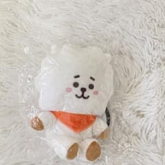 BT21 BASICPLUSH M RJ 인형