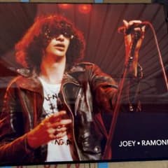 RAMONES JOEY 壁掛けパネルのサムネイル