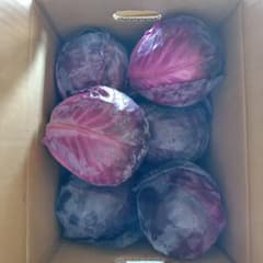 レッドキャベツのサムネイル
