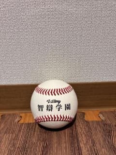 智辯学園　非売品　甲子園仕様のサムネイル