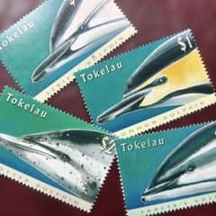 3771 外国切手 国々 魚類 海洋生物 シリーズ 22種 未使用 79154セール現品限 外国切手 トケラウ発行海洋生物4種揃イルカ - メルカリ