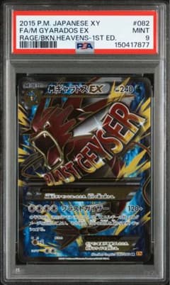 PSA9】MギャラドスEX SR XY9 破天の怒り 082/080 - メルカリ