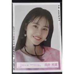 向井純葉　何歳の頃に戻りたいのか　秘蔵直筆生写真 向井純葉 何歳の頃に戻りたいのか 秘蔵直筆生写真 向井