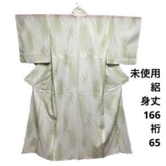未使用 夏着物 絽 小紋 正絹? ポリ?普段着 身丈166cm裄65cm - メルカリ