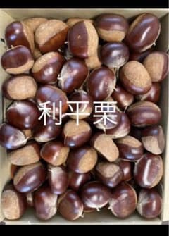 栗　熊本県産　無農薬　利平栗のサムネイル