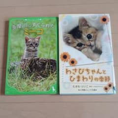 多摩川にすてられたミーコ　他児童書　2冊のサムネイル