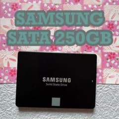 中古　Samsung 850 EVO 250GB 内蔵型SSDのサムネイル