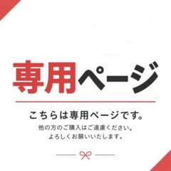 【Achaco's様専用】基本エネルギー100枚 ポケパッド ポフィンのサムネイル