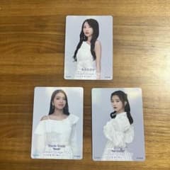 AKB48 武道館 入場特典 向井地美音 Shania Gracia 桂楚楚 - メルカリ