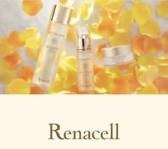 新品未開封】Renacellレナセルクリアセラム美容液 ヒト幹細胞 高級美容 