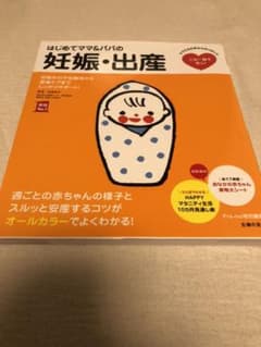 はじめてママ&パパの妊娠・出産 : 妊娠中の不安解消から産後ケアまでこの一冊で…のサムネイル