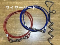 ペット用ワイヤーリード 赤 青 3m 2本 スパイラルペグ 40cmのサムネイル