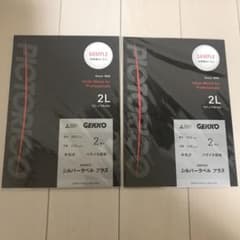 ピクトリコ GEKKO シルバーラベルプラス 2L 2枚入 2セットのサムネイル
