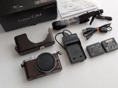 Panasonic LUMIX DMC-GM1SK 바디 브라운 번역 있음