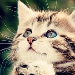 まーくんさん専用のサムネイル
