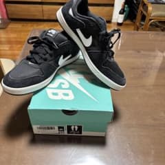 ★超美品★NIKE SB★ALLEYOOP★アリウープ★28.5★10.5★箱有のサムネイル